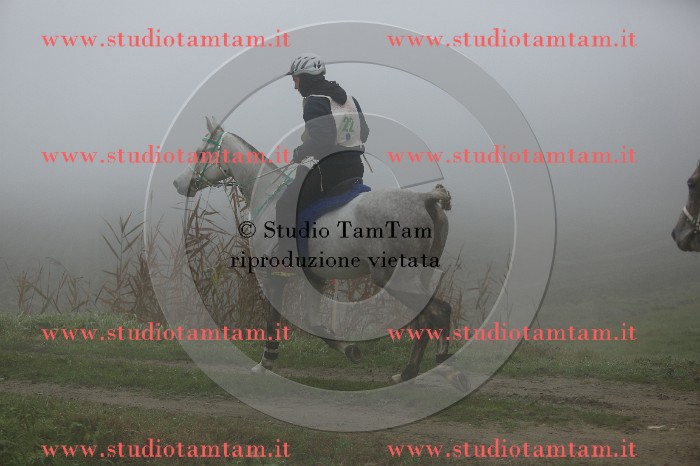 MAT_8943.JPG