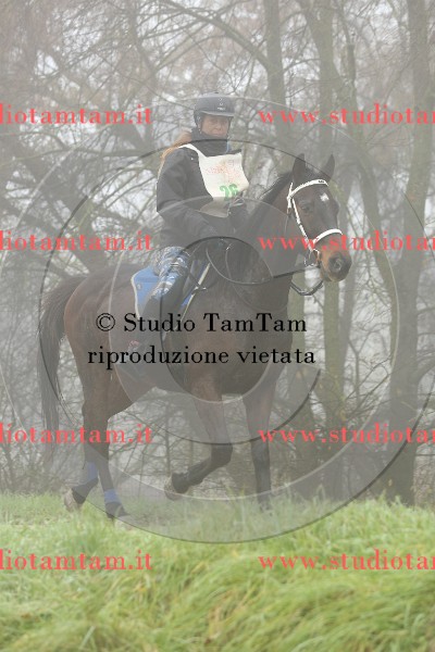 MAT_8953.JPG