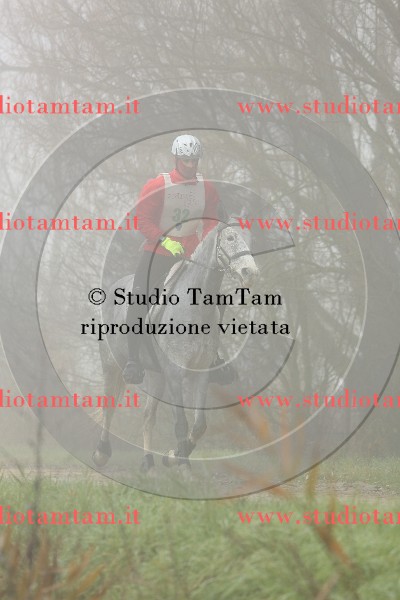 MAT_9015.JPG