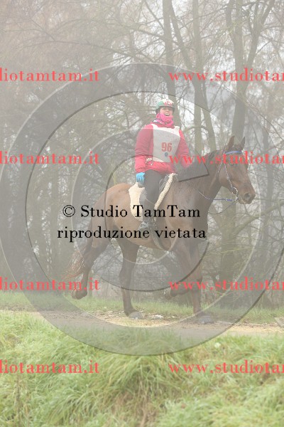 MAT_9047.JPG