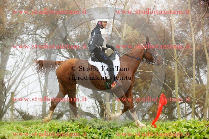MAT_9058.JPG