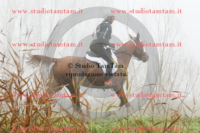 MAT_9060.JPG