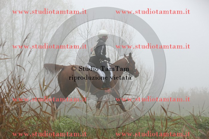MAT_9061.JPG