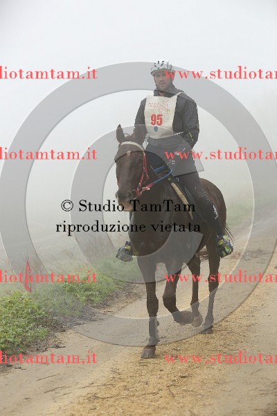 MAT_9087.JPG