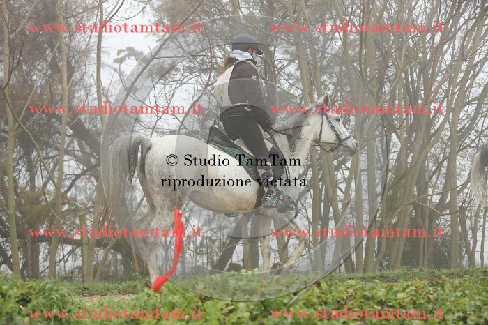 MAT_9159.JPG