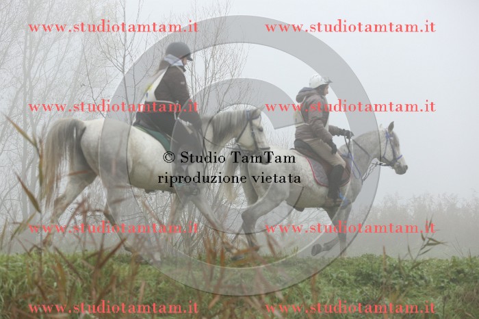 MAT_9170.JPG