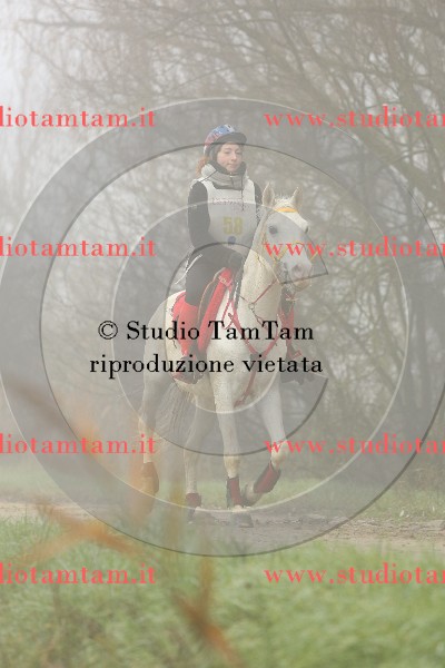 MAT_9198.JPG