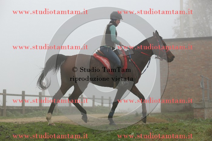 MAT_9263.JPG