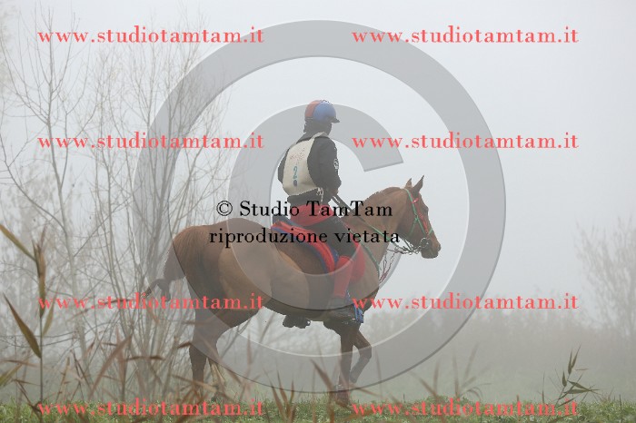 MAT_9268.JPG