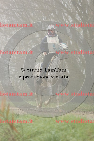 MAT_9275.JPG