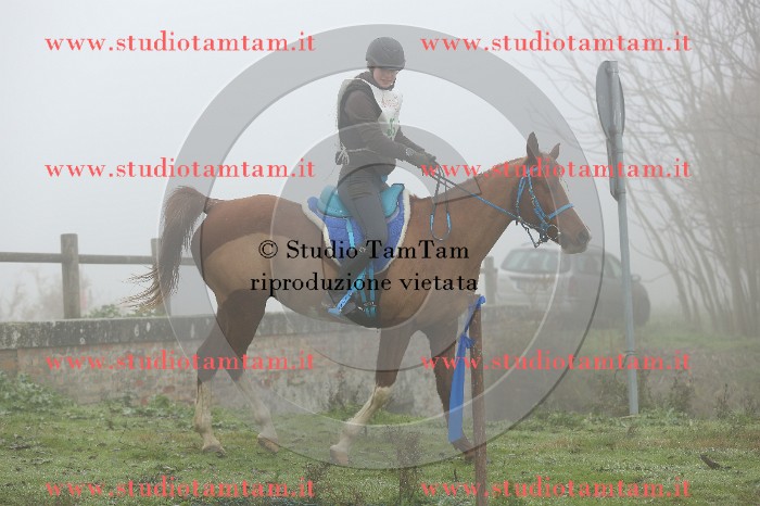 MAT_9309.JPG