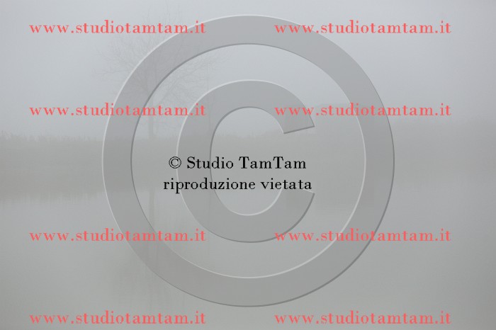 MAT_9315.JPG