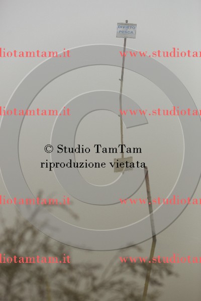 MAT_9317.JPG