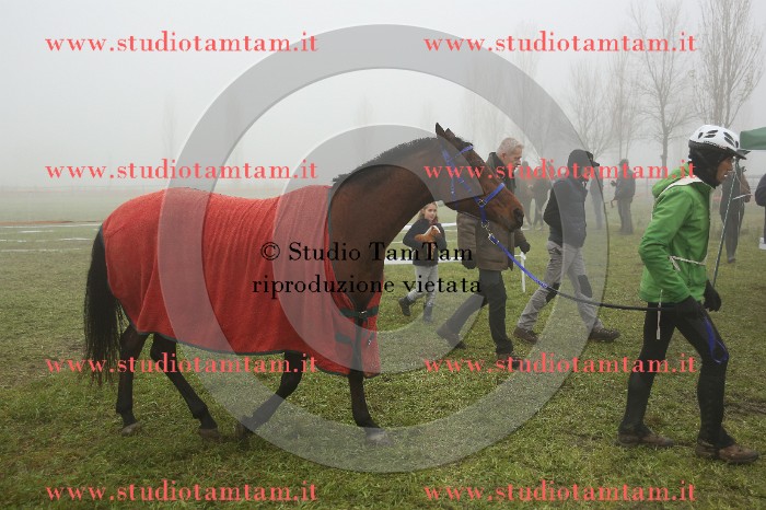 MAT_9342.JPG
