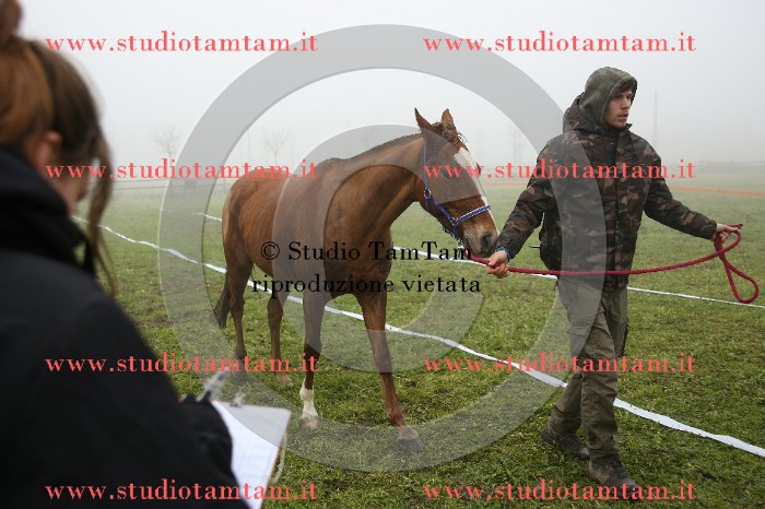MAT_9358.JPG