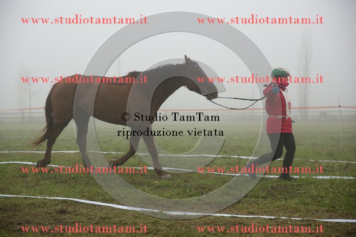 MAT_9371.JPG