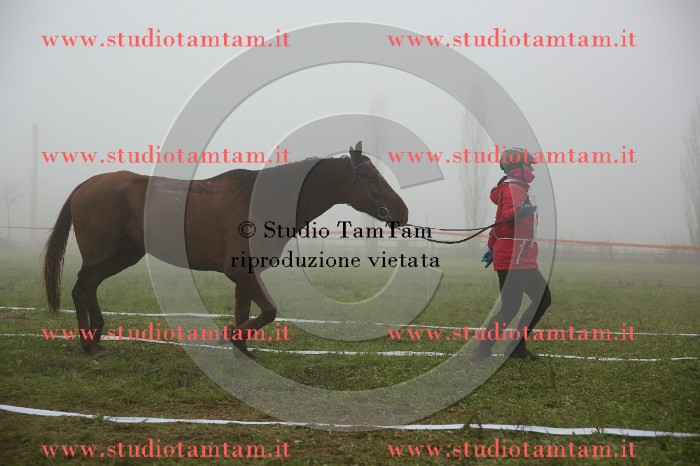 MAT_9372.JPG