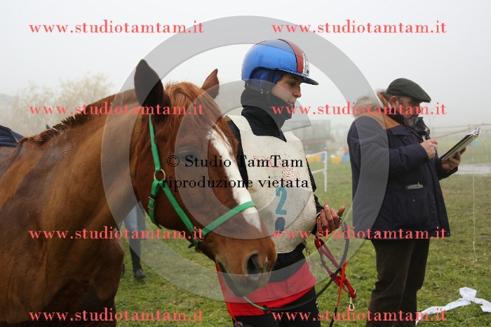 MAT_9381.JPG