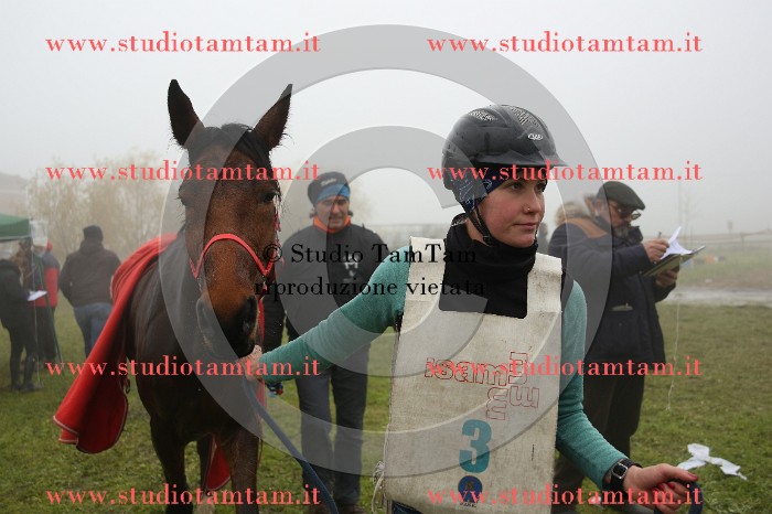 MAT_9382.JPG