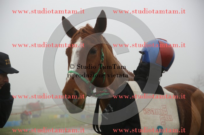 MAT_9384.JPG