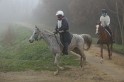 MAT_8909