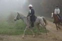 MAT_8910