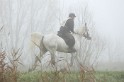 MAT_8963