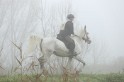 MAT_8964