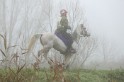 MAT_8984