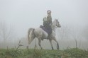 MAT_8986