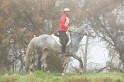 MAT_9019