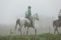 MAT_9042