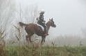 MAT_9062
