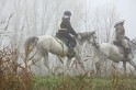 MAT_9168