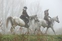 MAT_9169