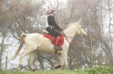 MAT_9204