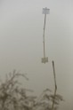 MAT_9317