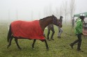 MAT_9343