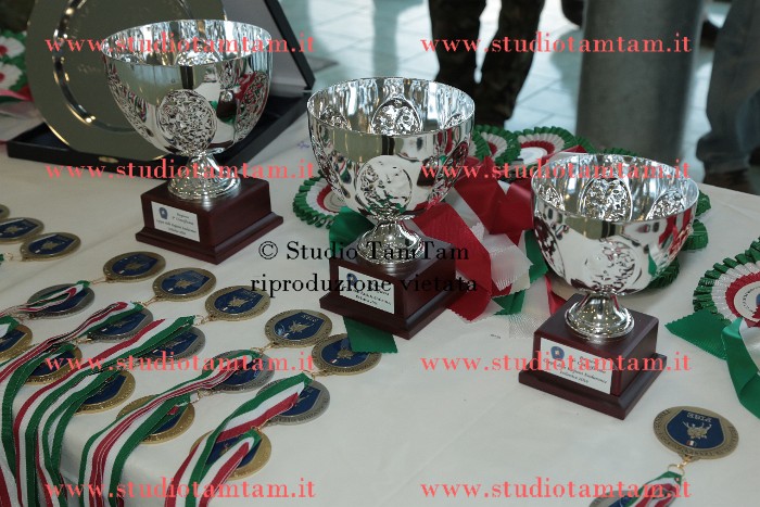 MAT_0420.JPG