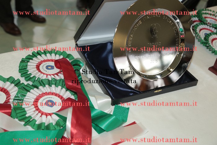MAT_0579.JPG