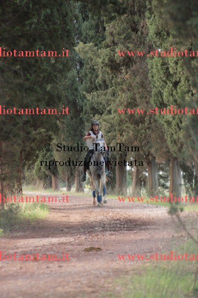 IMGB0241.JPG