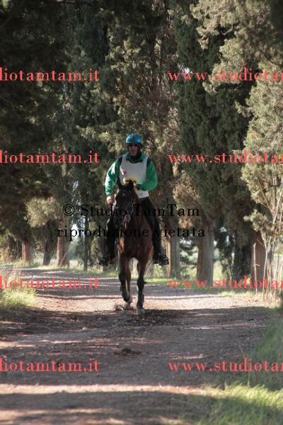 IMGB0593.JPG