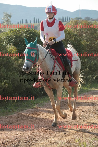 MAT_9070.JPG