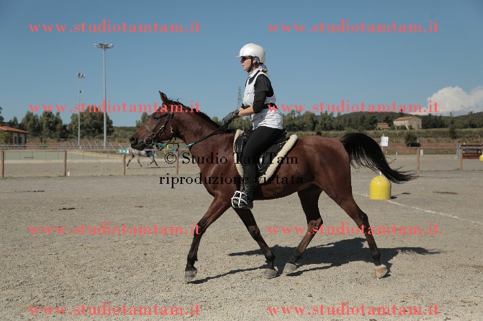 MAT_9616.JPG