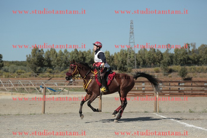 MAT_9640.JPG