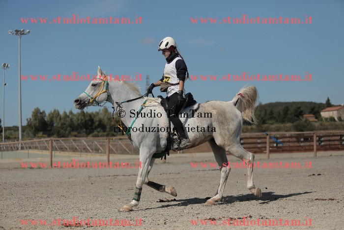 MAT_9808.JPG
