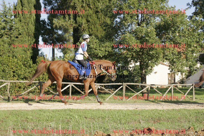 _J6I5363.JPG