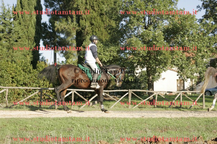 _J6I5375.JPG