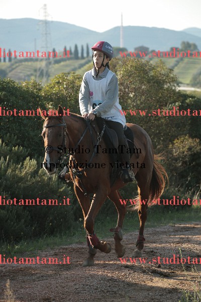 MAT_8881.JPG