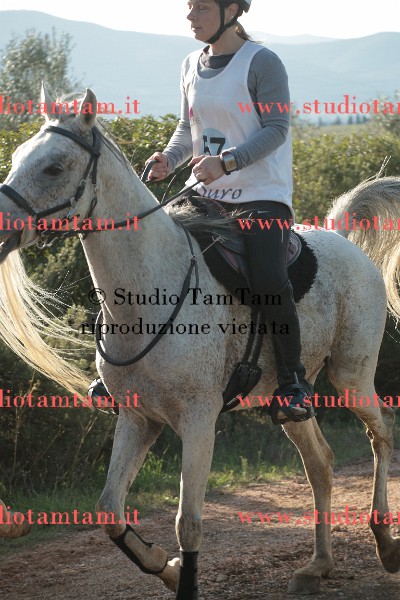 MAT_8947.JPG